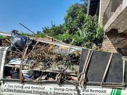 Best Hoarding Cleanup  in Casas Adobes, AZ